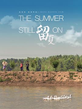 留夏[电影解说]海报