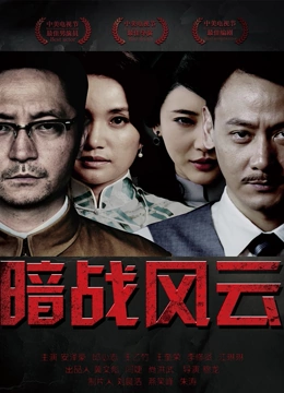 暗战风云海报
