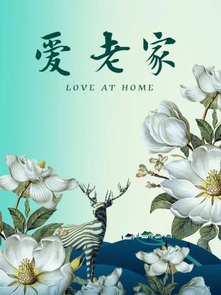 爱·老家海报