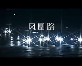 凤凰路[电影解说]海报