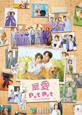 宠爱Pet Pet海报