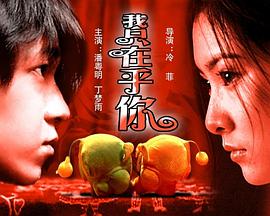 我只在乎你2004海报