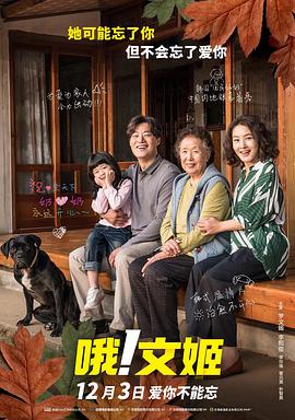 哦！文姬[电影解说]海报