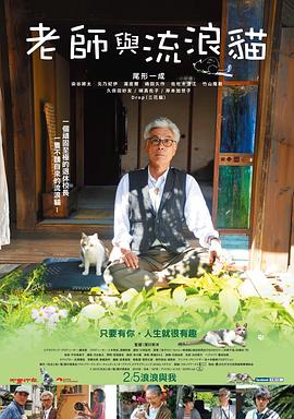 老师与流浪猫[电影解说]海报