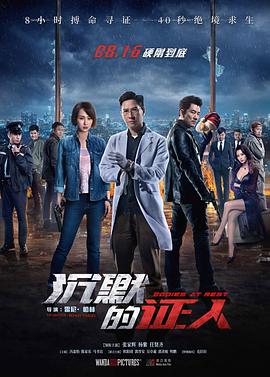 沉默的证人2019[电影解说]海报
