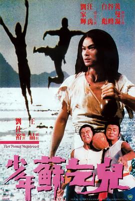 少年苏乞儿[电影解说]海报