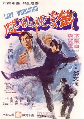 铁掌旋风腿[电影解说]海报