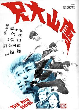 唐山大兄[电影解说]海报