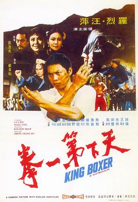 天下第一拳[电影解说]海报