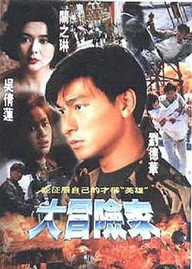 大冒险家1995[电影解说]海报