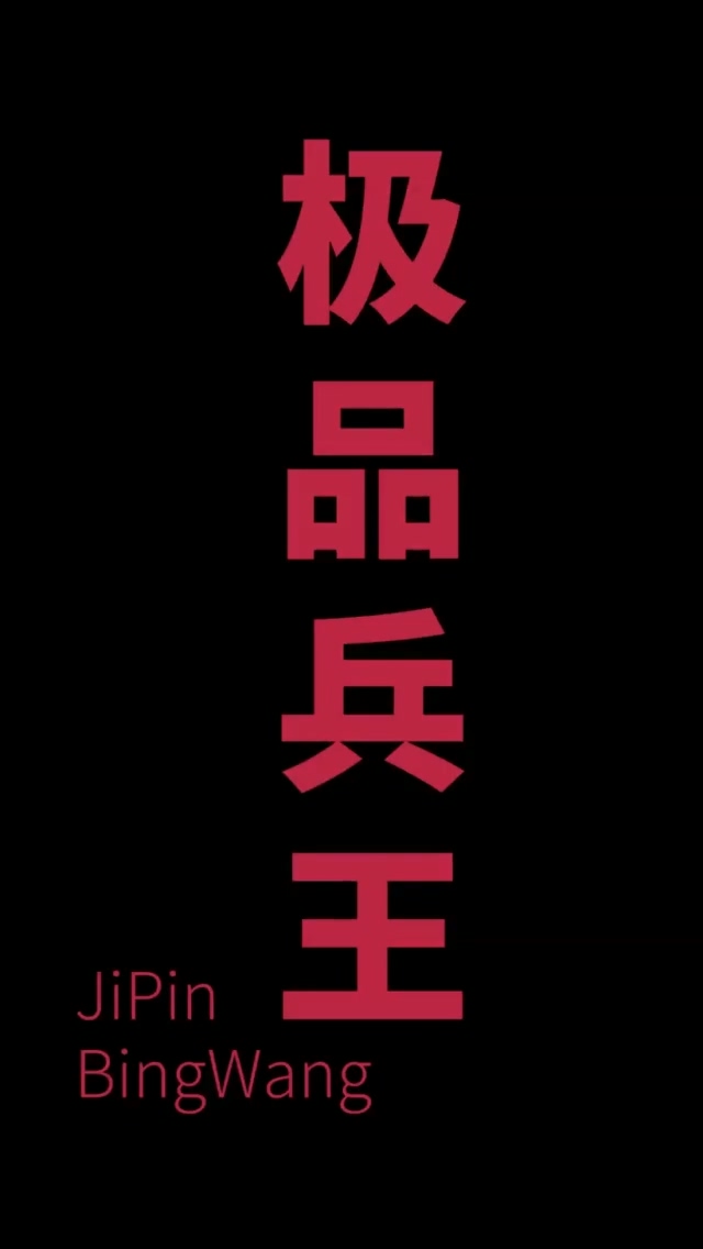 总裁的极品兵王海报