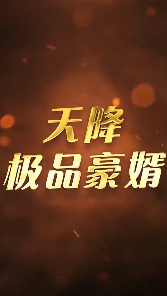 天降极品豪婿海报