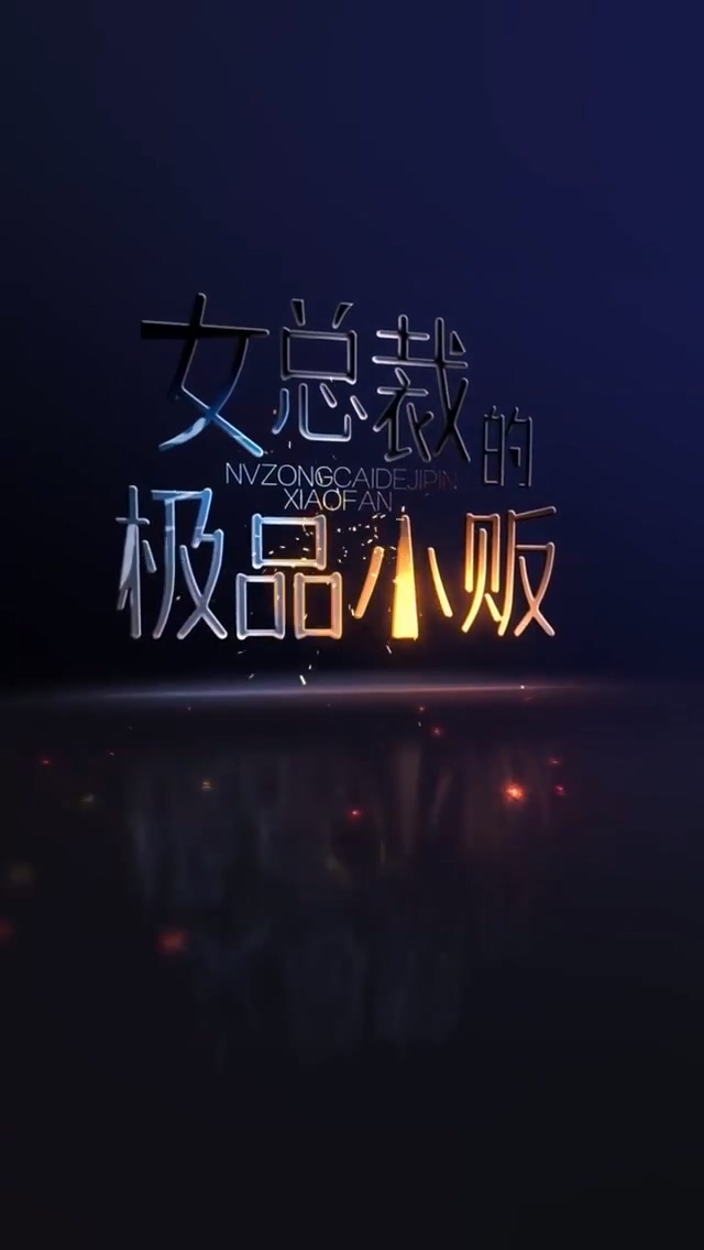 女总裁的极品小贩海报