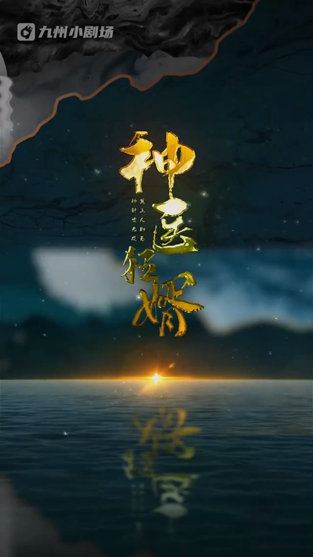 神医狂婿海报