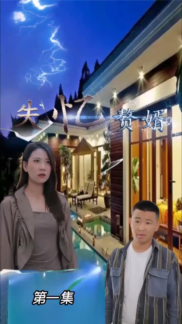 失忆赘婿海报
