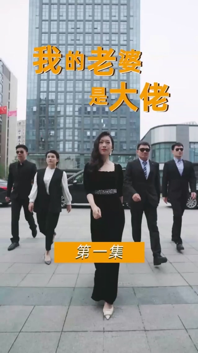 我的老婆是大佬海报
