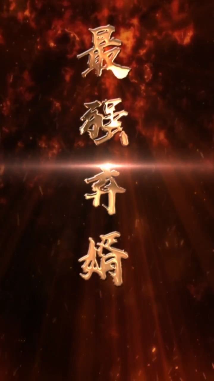 最强废婿海报