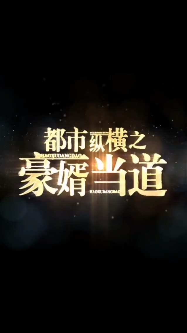 都市纵横之豪婿当道海报