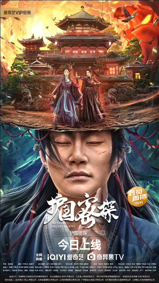 护国密探海报