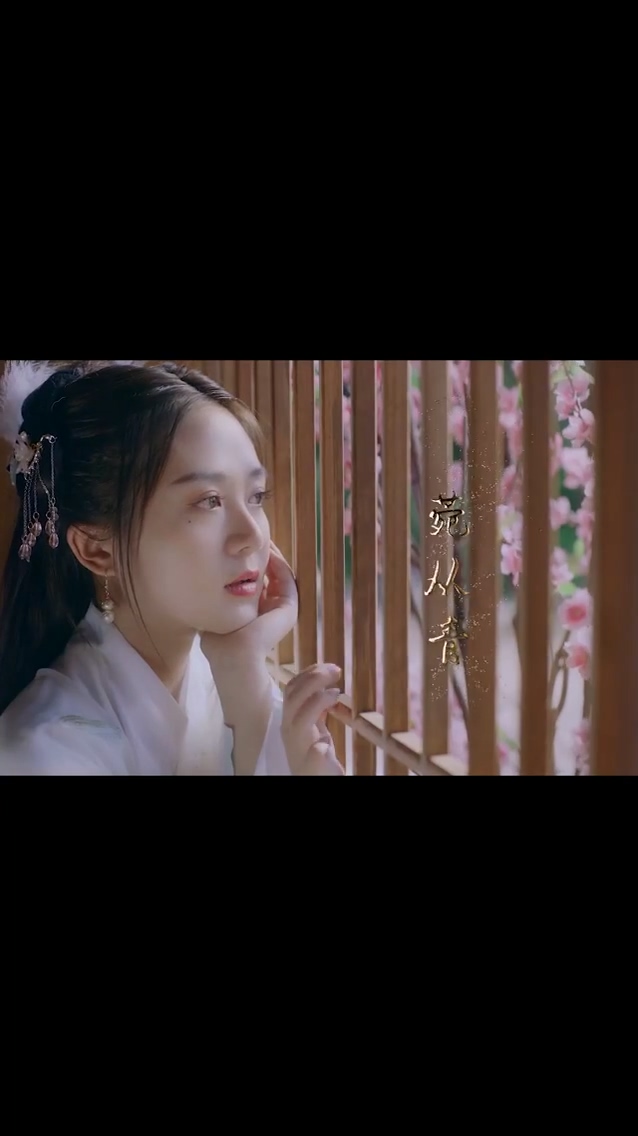 软萌娘子是杀手海报