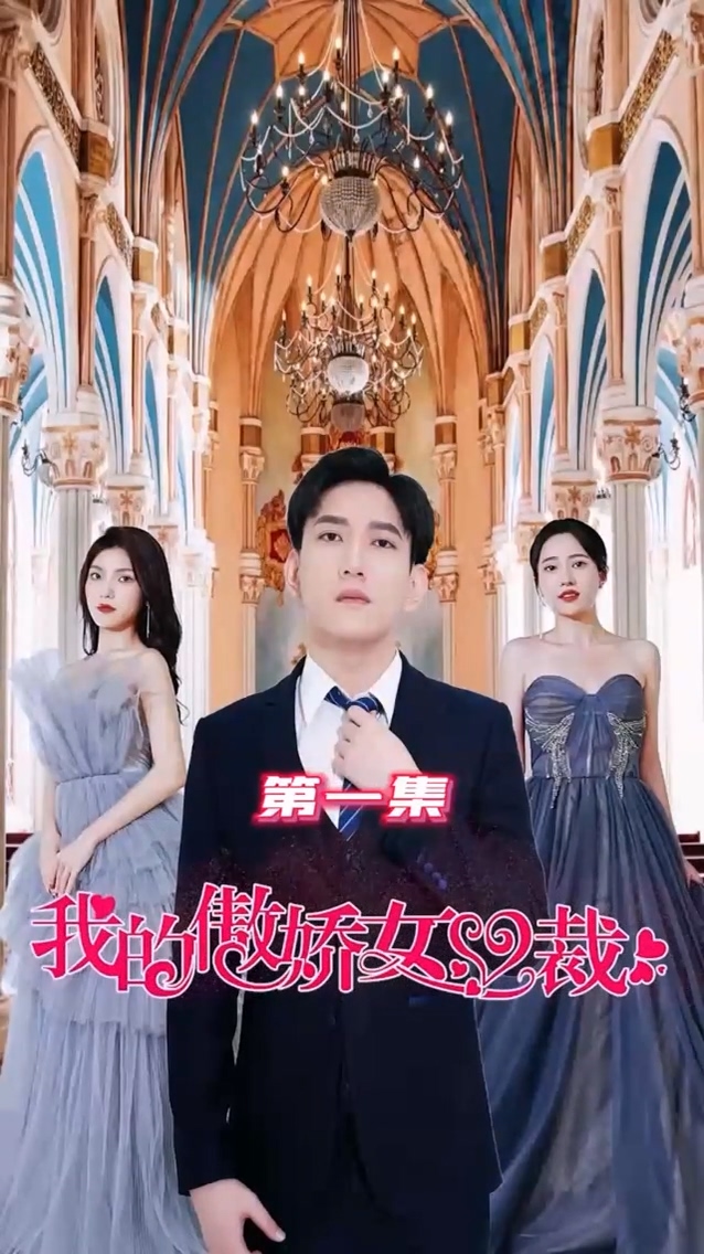 我的傲娇女总裁海报