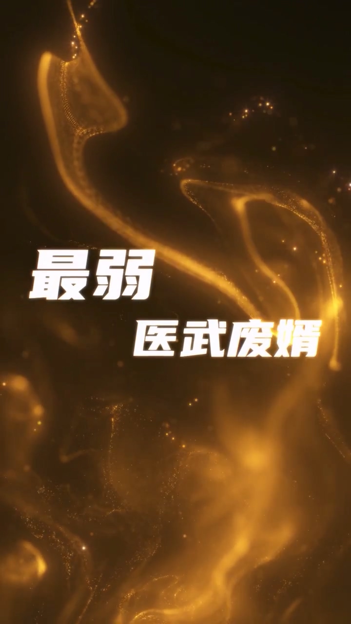 最弱医武废婿海报