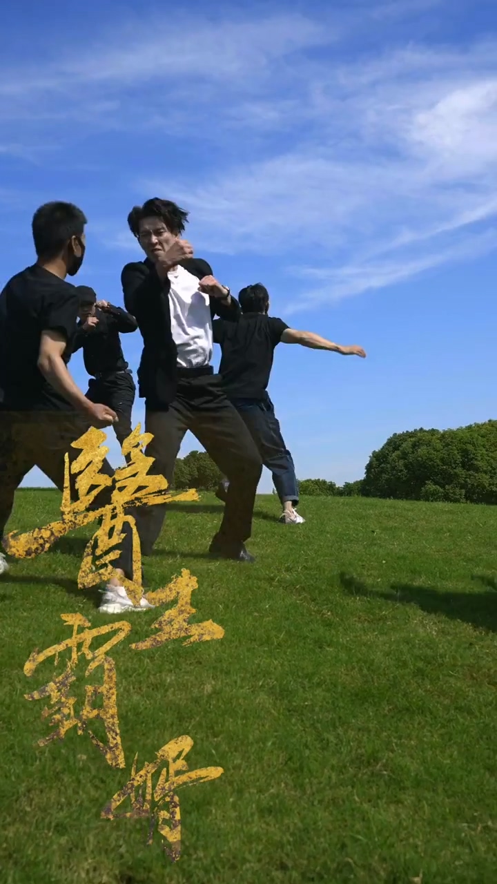 医王霸婿海报