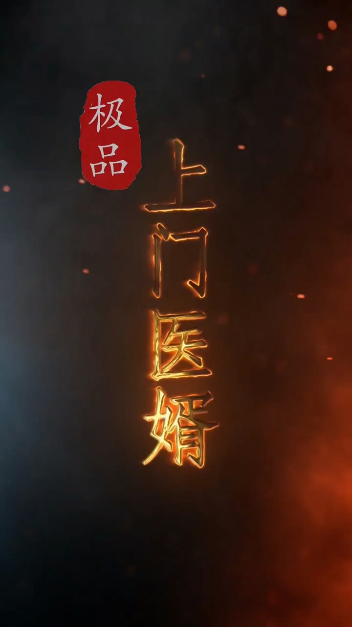 极品上门医婿海报
