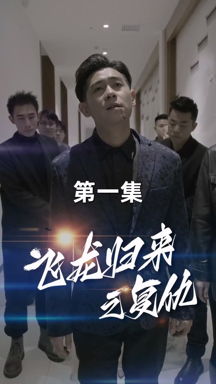 飞龙归来海报