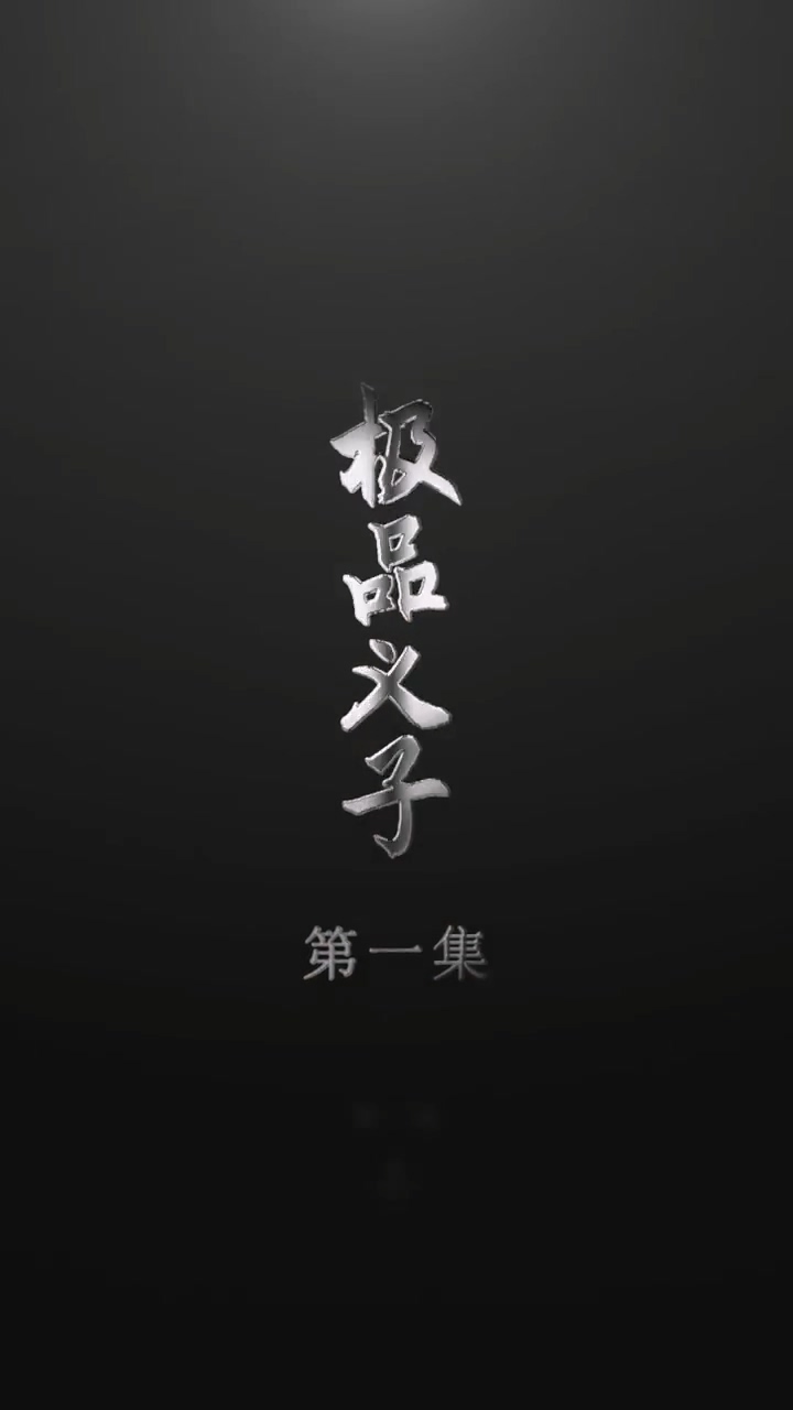 极品义子海报