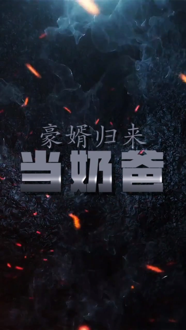 豪婿归来当奶爸海报