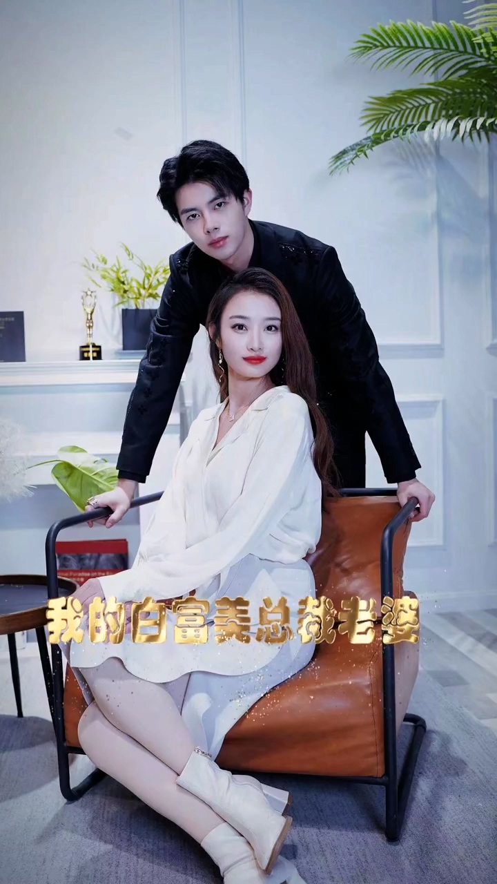 我的白富美老婆海报
