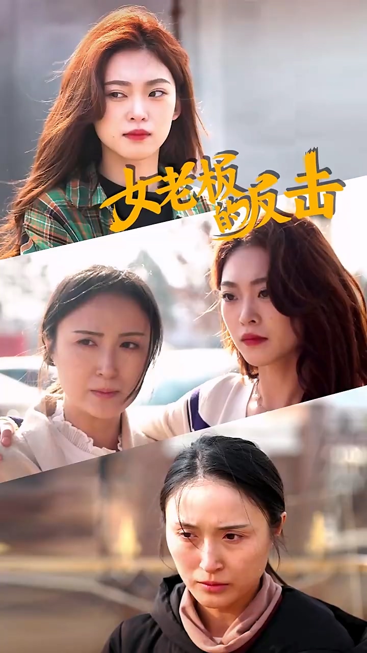 女老板的反击海报