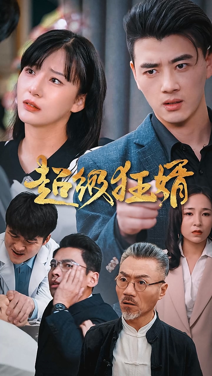 超级狂婿海报