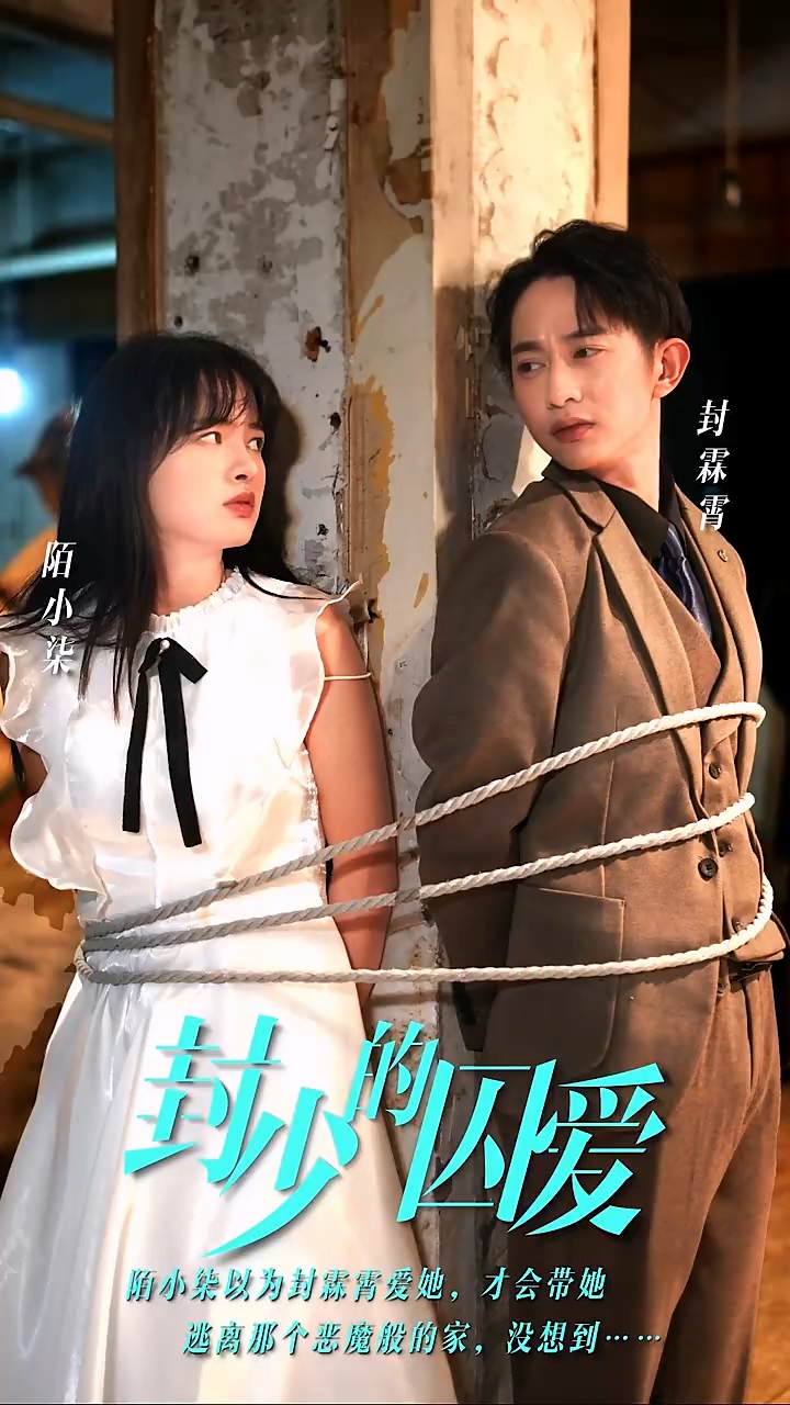 封少的囚爱海报