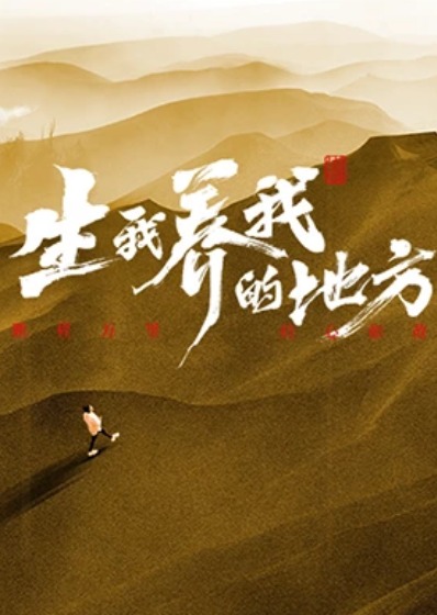 生我养我的地方海报