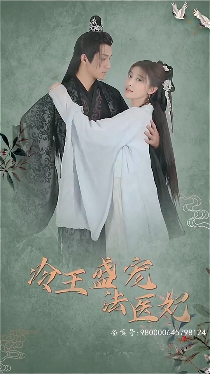 凤还巢：冷王盛宠法医妃海报