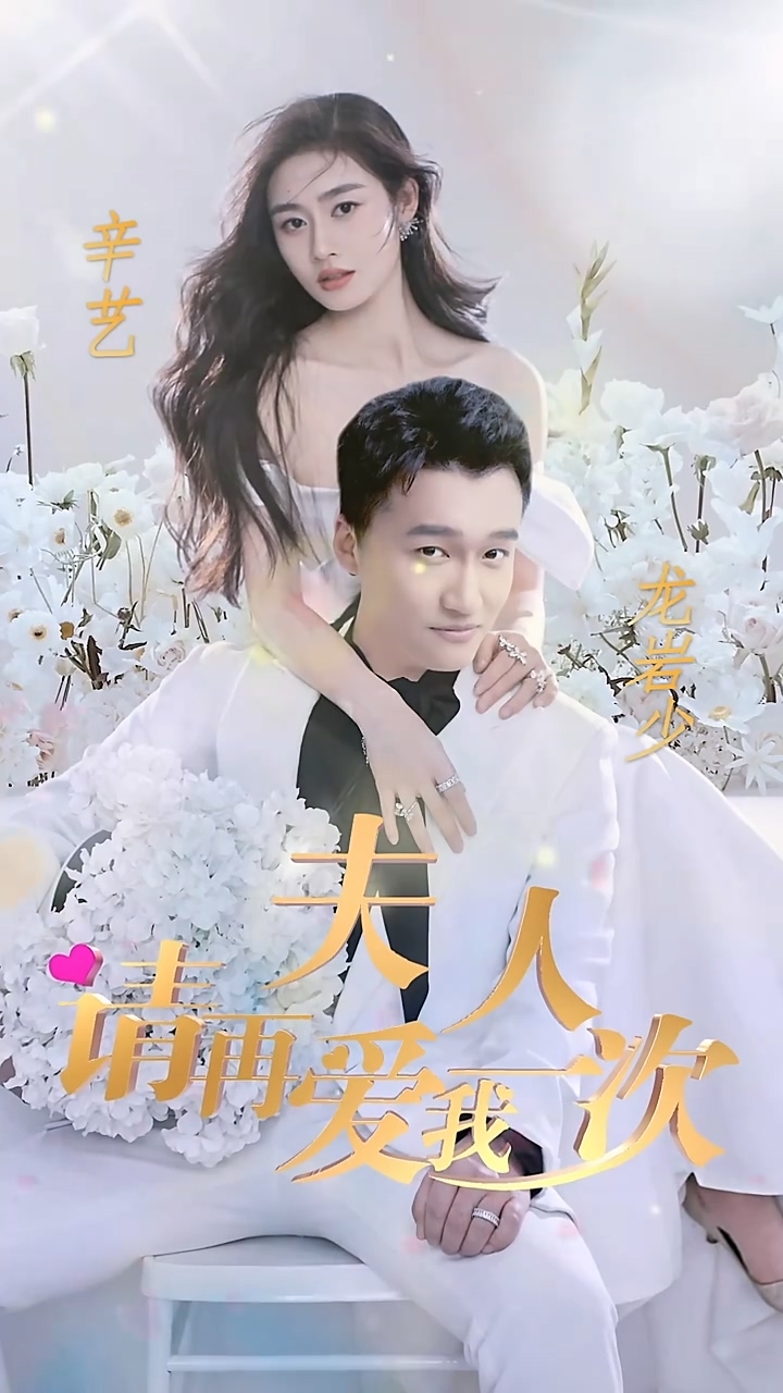 夫人，请再爱我一次海报