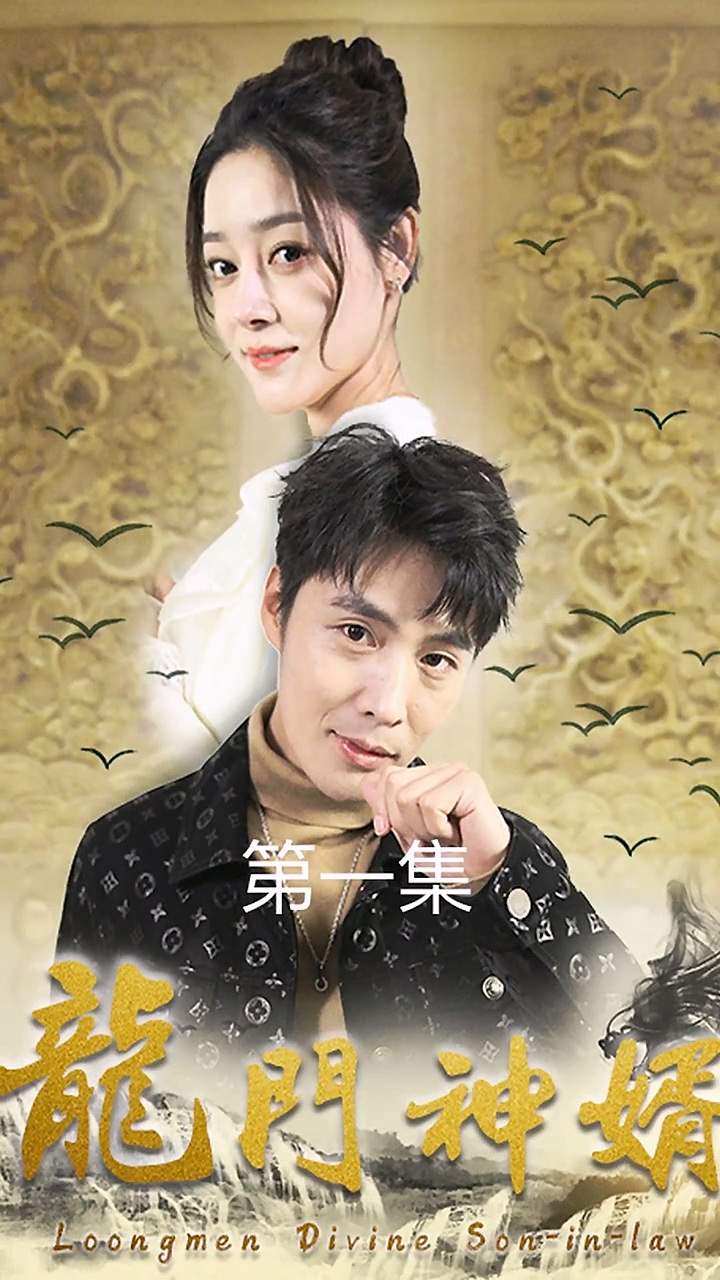 龙门神婿海报