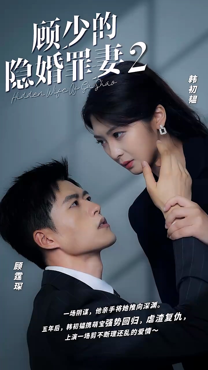 顾少的隐婚罪妻2海报