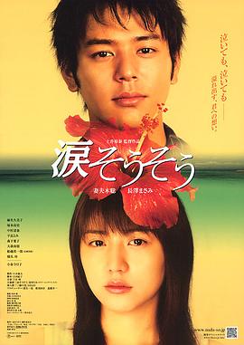 泪光闪闪[电影解说]海报