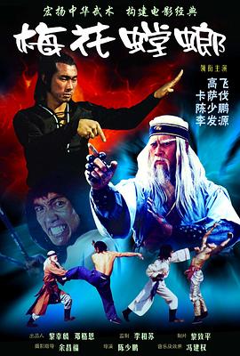 决战银狐[电影解说]海报