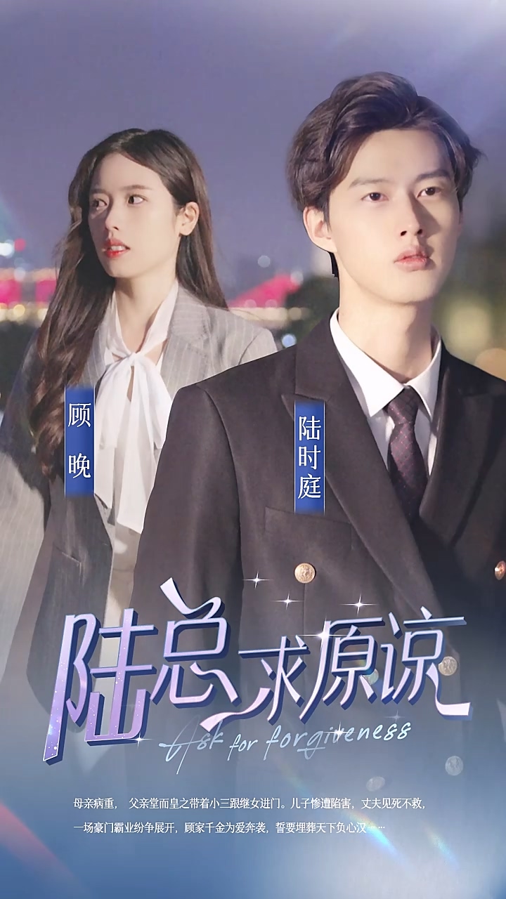 离婚后，陆总跪着求原谅海报