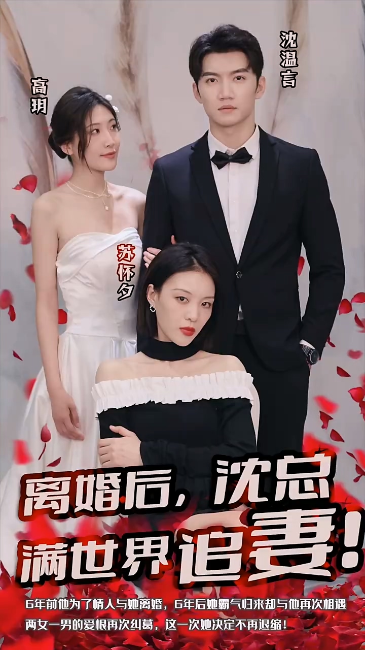 离婚后，沈总满世界追妻海报