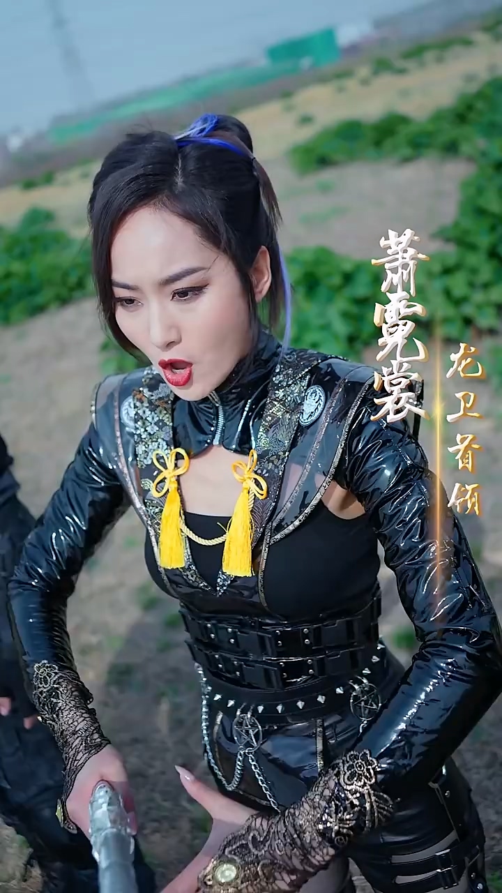 龙帝归来海报