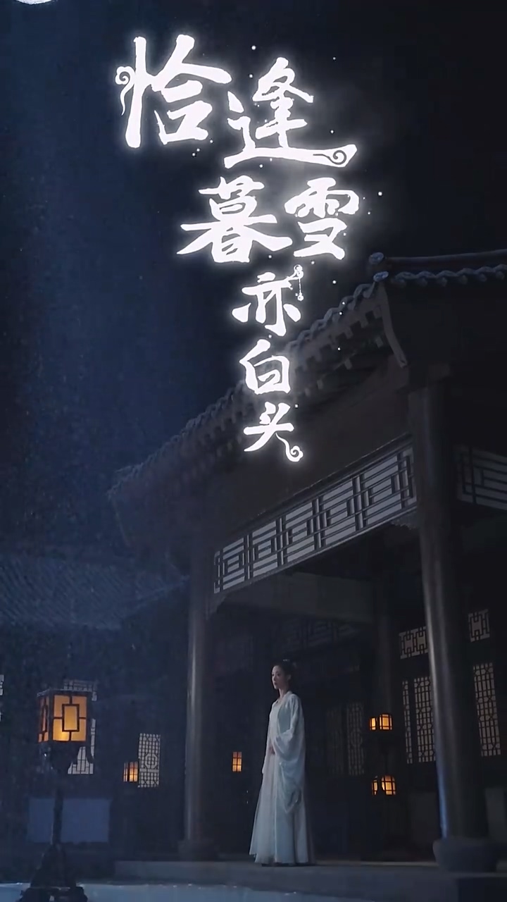 恰逢暮雪亦白头海报