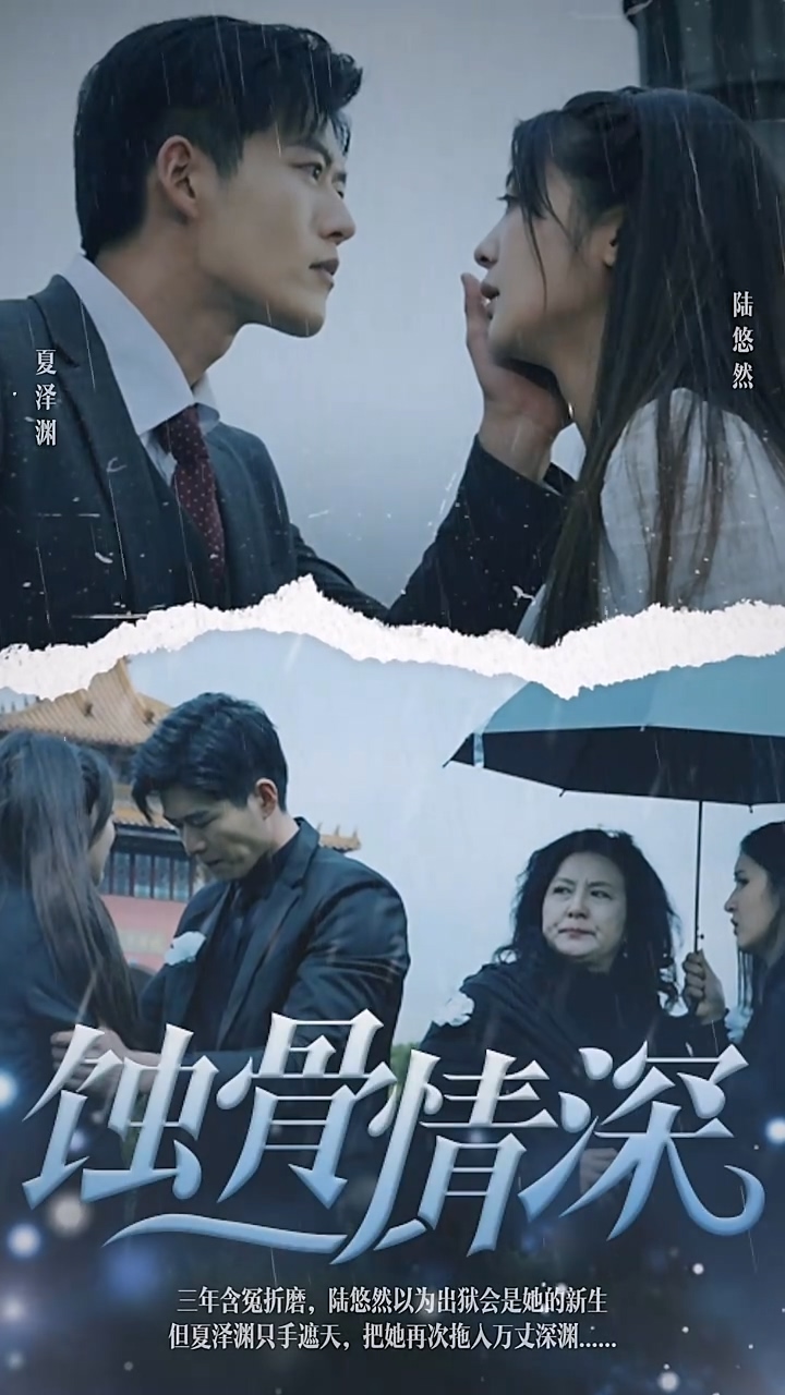 蚀骨情深海报