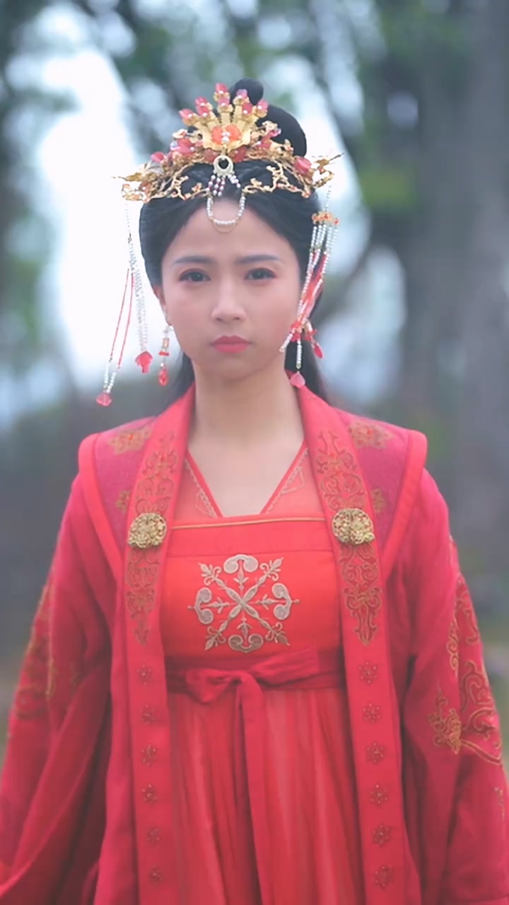 双面赘婿不好惹海报