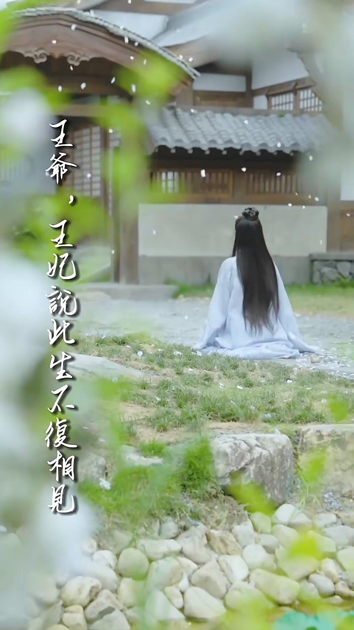 王爷，王妃说此生不复相见海报