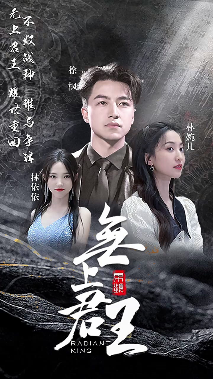 无上君王海报